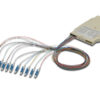 Splittercassette met 12 pigtails, voorgemonteerd, LC, OM4