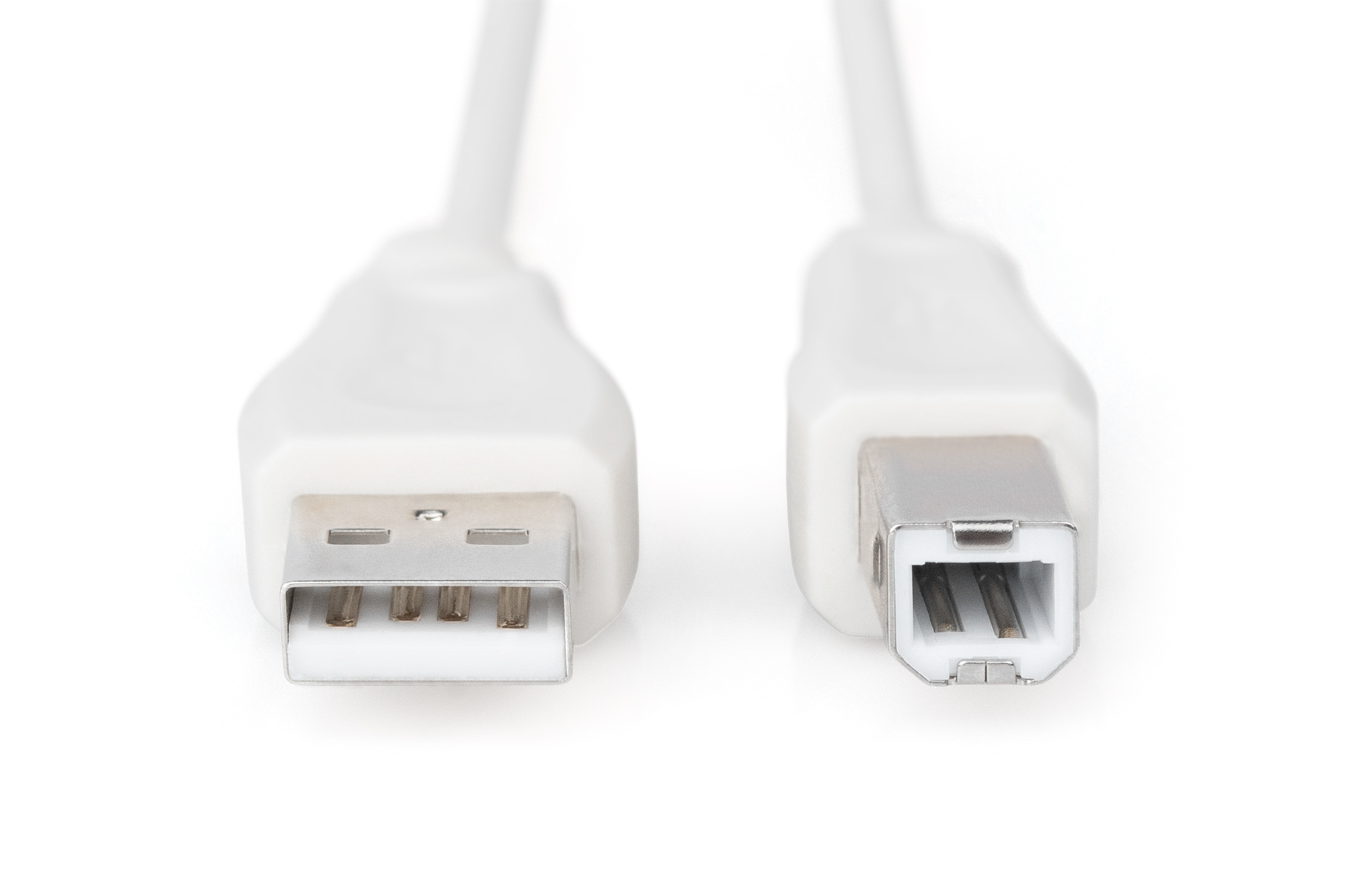 USB-A - USB-B aansluitkabel, 1,8 m - Afbeelding 2