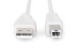 Alternative view of USB-A - USB-B aansluitkabel, 3m