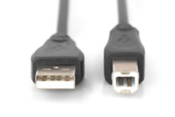 Alternative view of USB-A - USB-B aansluitkabel, 1m