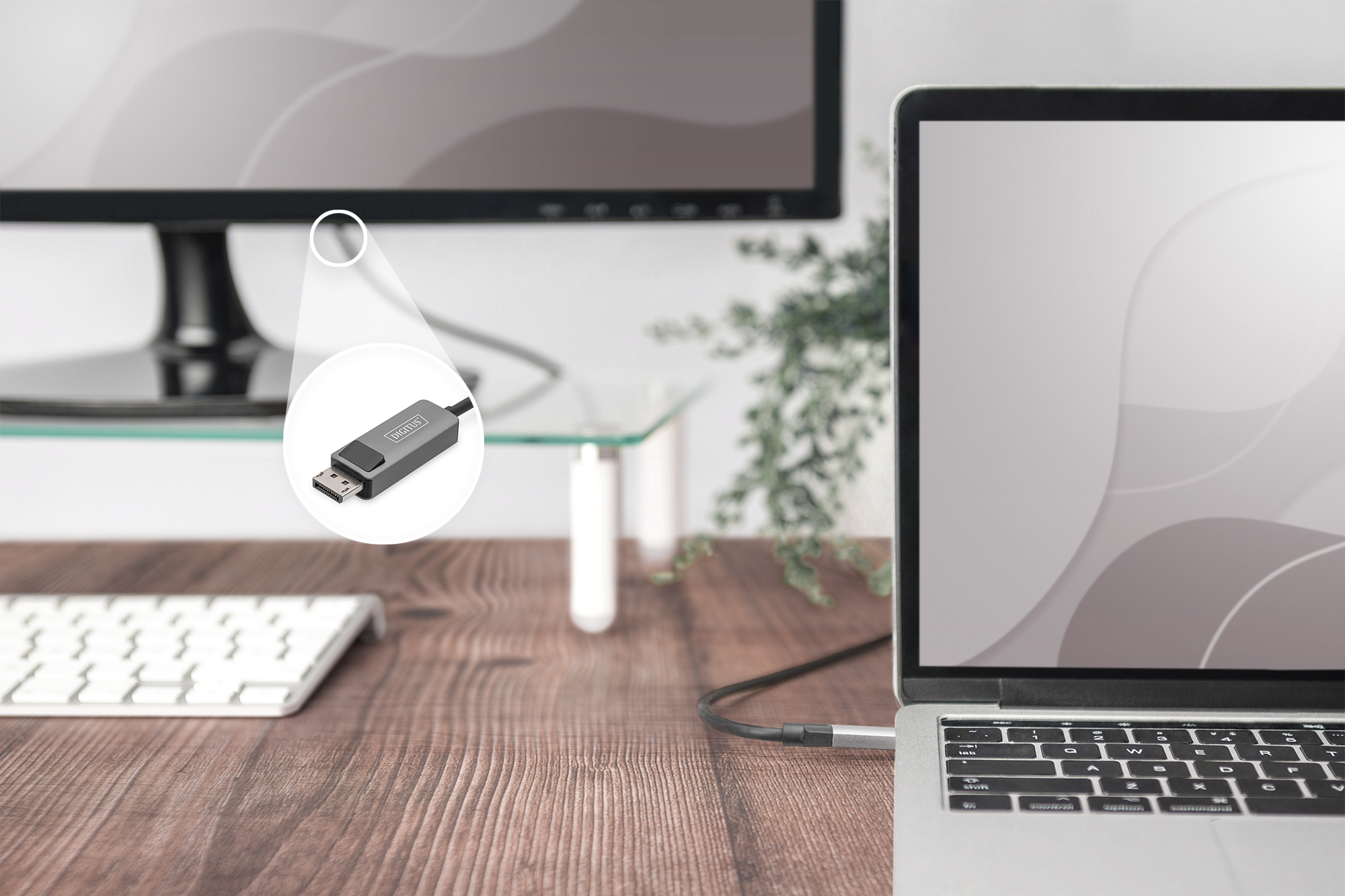 USB-C - DisplayPort-adapterkabel, 8K / 30 Hz - Afbeelding 3