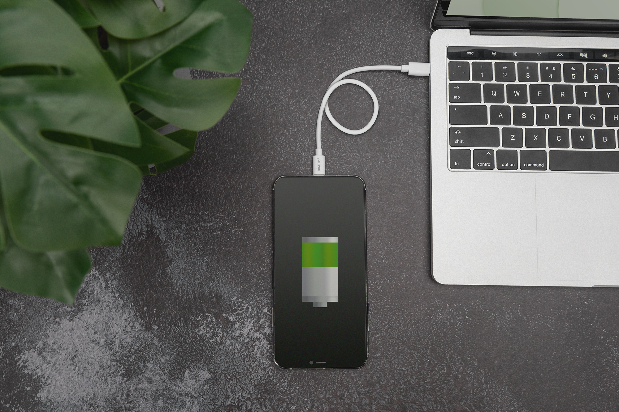 USB-C - Lightning data-/oplaadkabel, MFI-gecertificeerd, 1m - Afbeelding 3