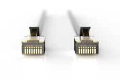 Alternative view of CAT 6A S/FTP-patchkabel voor buitengebruik, 2 m, PE, 10 stuks