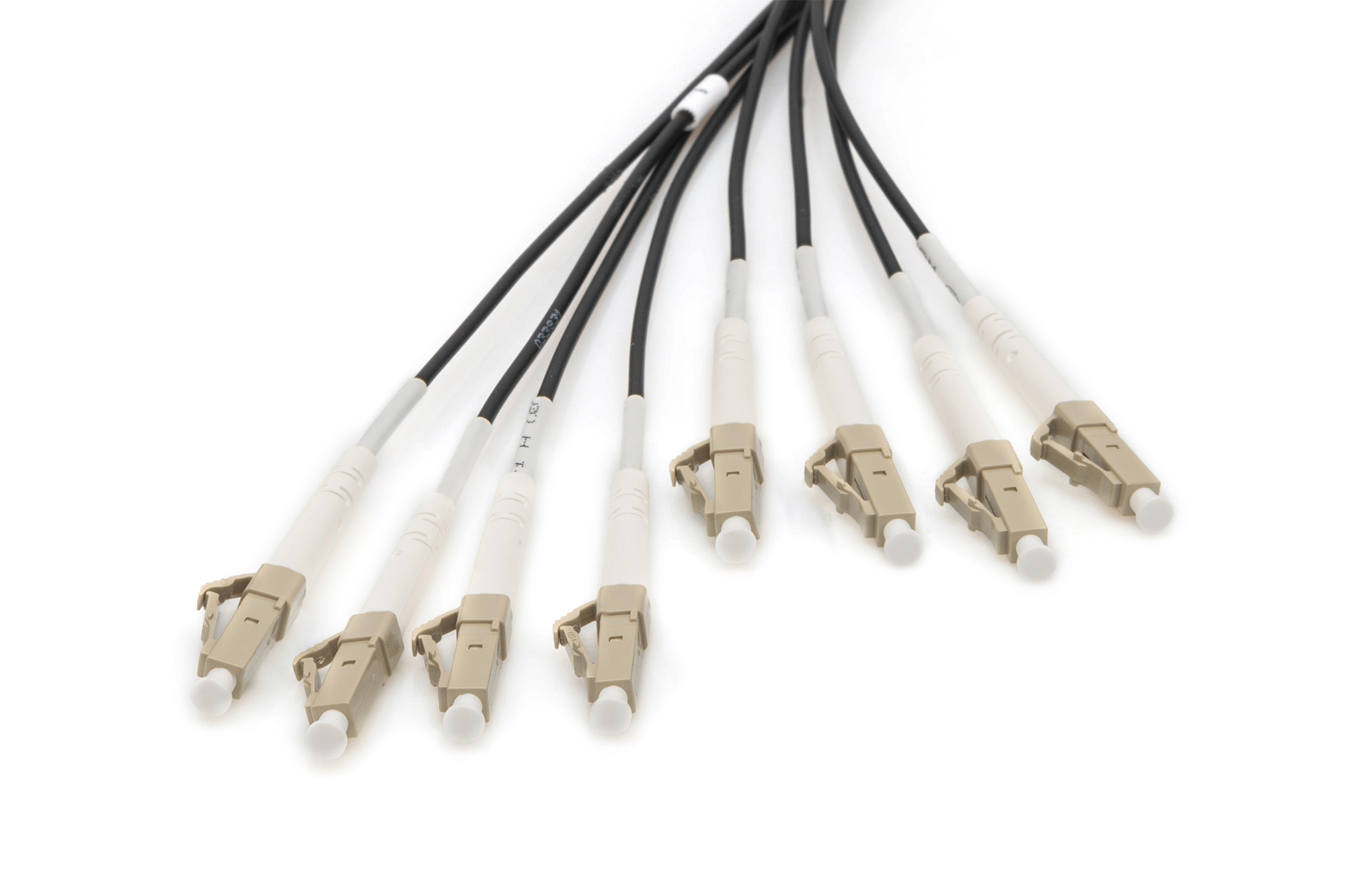 Voorgemonteerde glasvezel universele breakout kabel, multimode OM4, 8 vezels, LC/UPC - LC/UPC - Afbeelding 2