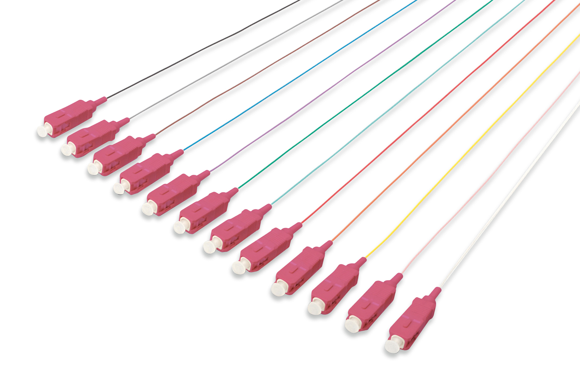 gekleurde SC simplex OM4 Pigtails