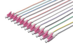 gekleurde LC simplex OM4 Pigtails