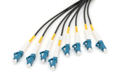Alternative view of Voorgemonteerde glasvezel universele breakout kabel, singlemode OS2, 8 vezels, LC/UPC - LC/UPC