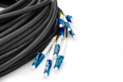 Alternative view of Voorgemonteerde glasvezel universele breakout kabel, singlemode OS2, 12 vezels, LC/UPC - LC/UPC