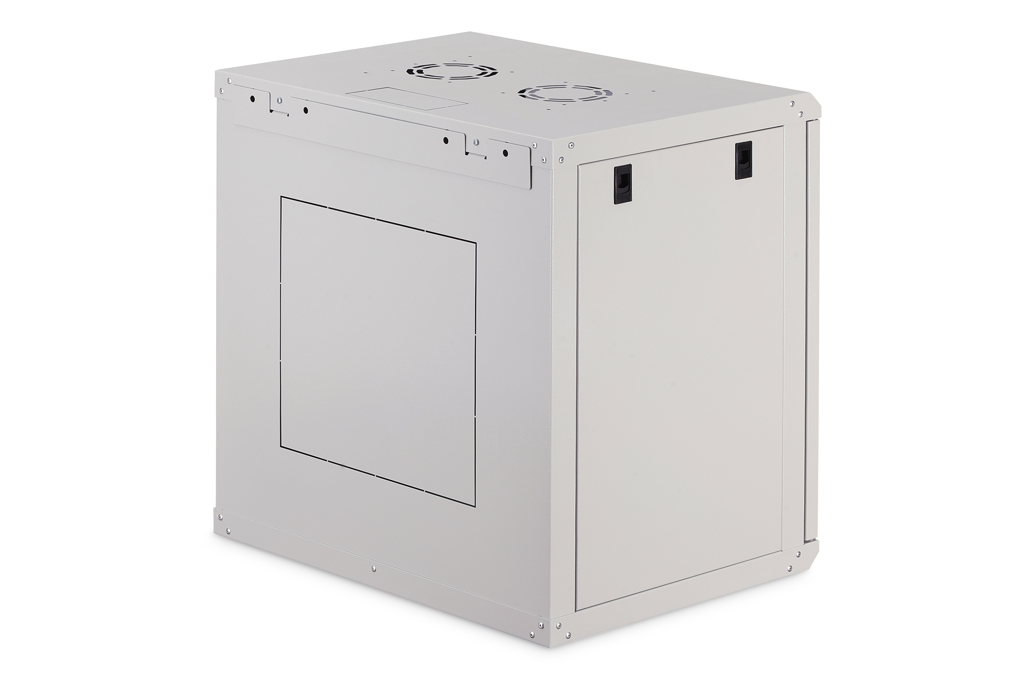 Wandbehuizing Dynamic Basic serie - 600x450 mm (BxD) - Afbeelding 2
