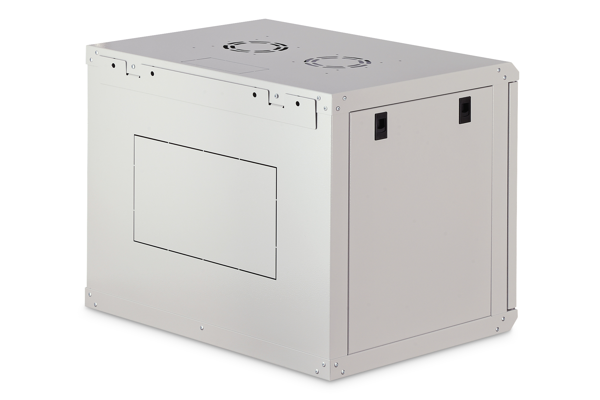 Dynamic-N serie wandbehuizing - 600x450 mm (BxD), ongemonteerd - Afbeelding 2