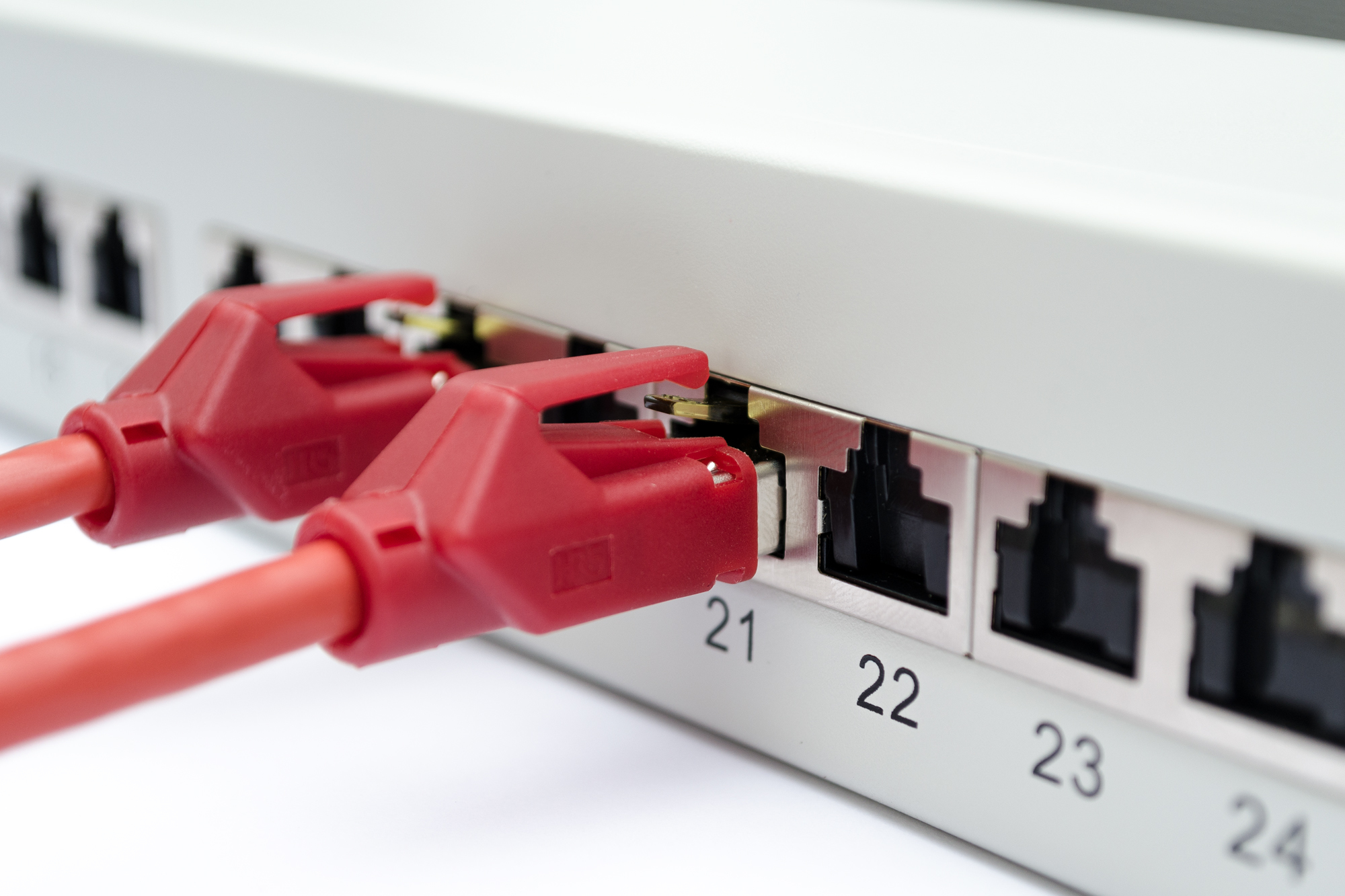 CAT 6A, Klasse EA Patchpanel, afgeschermd - Afbeelding 6
