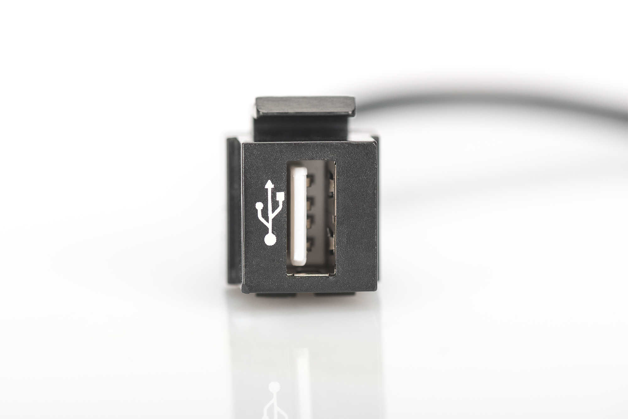 USB 2.0 Keystone-module met 16 cm kabel (socket/stekker) - Afbeelding 3
