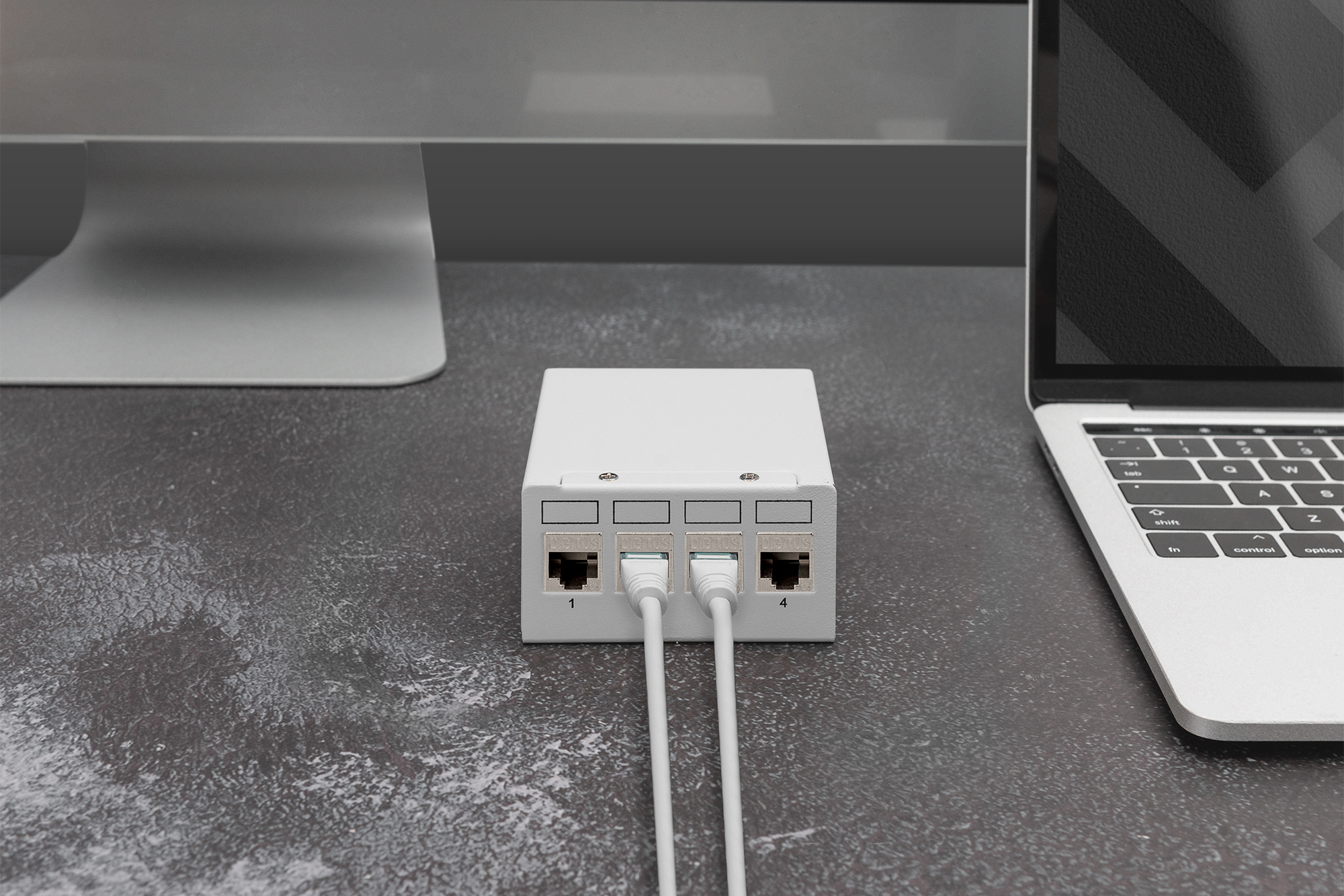 CAT 6A Keystone module, afgeschermd, montage-aansluiting zonder gereedschap - 4 st. - Afbeelding 5