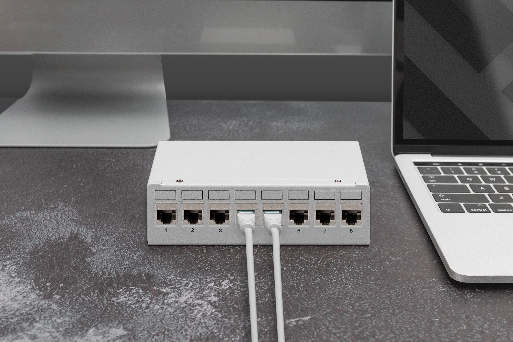 CAT 6A Keystone module, afgeschermd, montage-aansluiting zonder gereedschap - 8 st. - Afbeelding 5