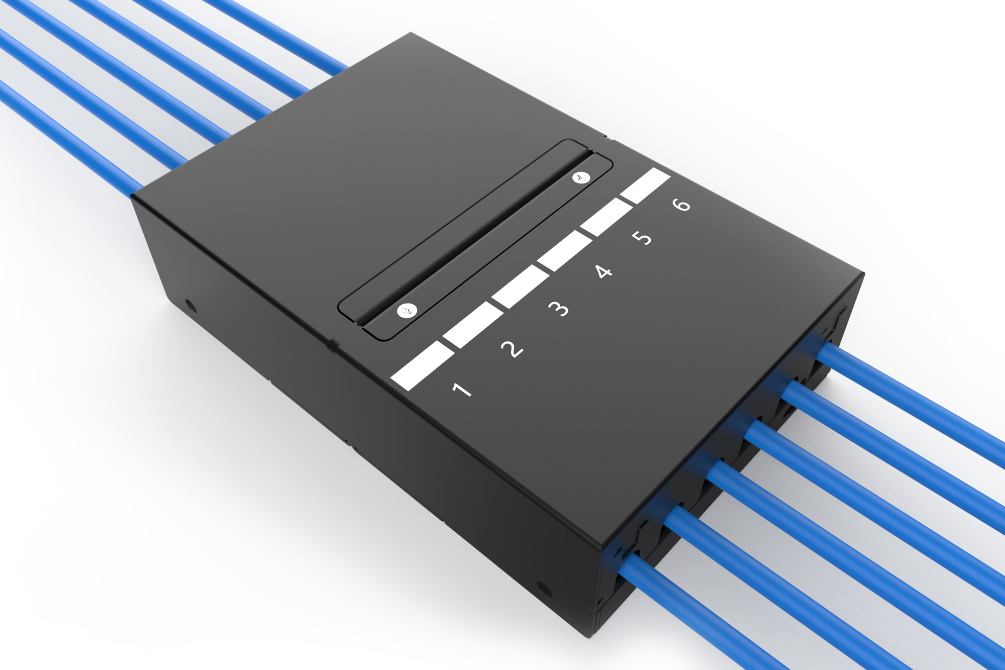 Consolidatiepuntkast, 6-poorts Keystone-modules met intelligente kabelmanager - Afbeelding 3
