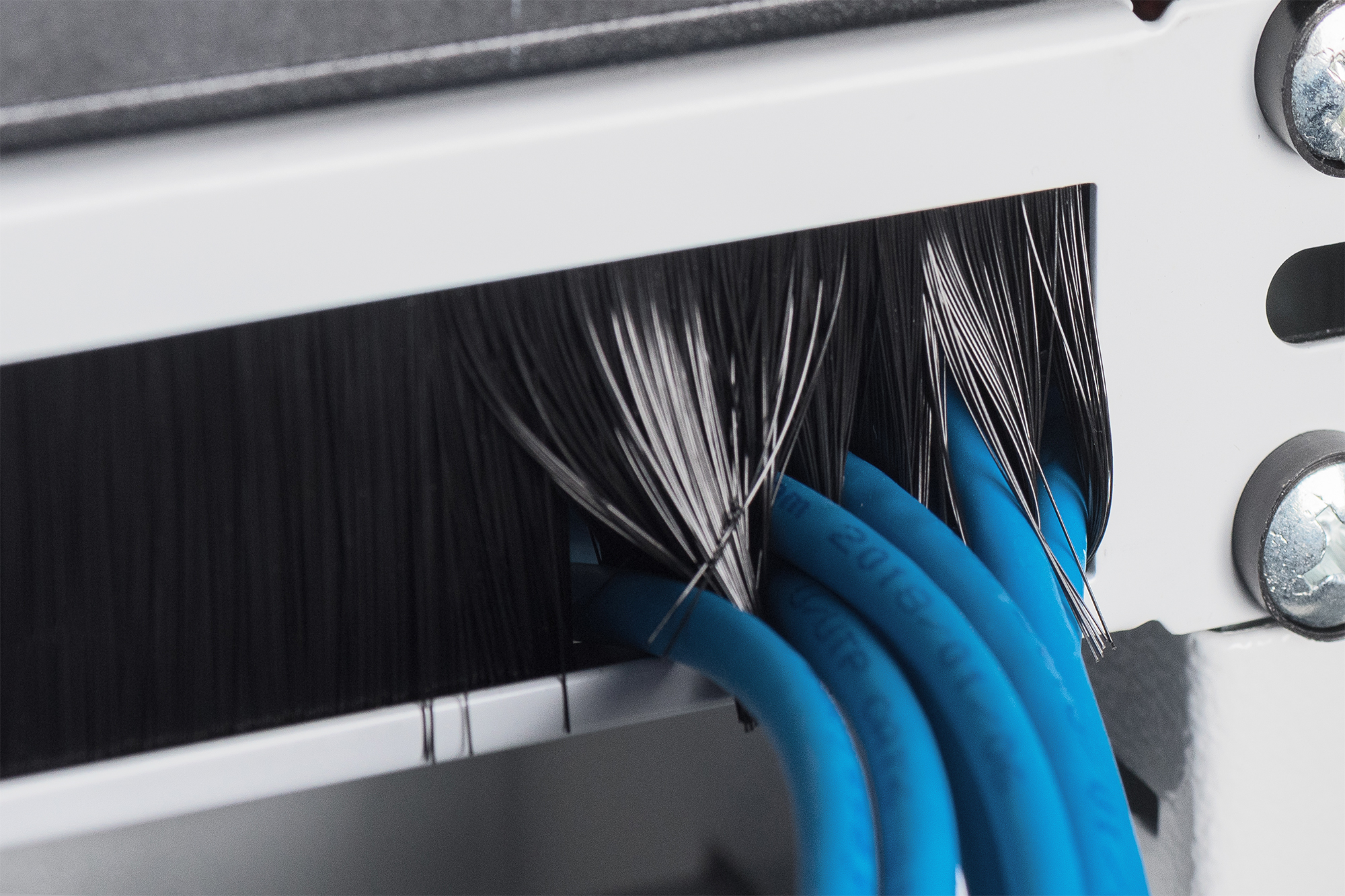 Kabelborstelstrip voor 19" behuizingen van 483 mm - Afbeelding 3