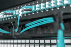 Kabelmanagementpaneel met borstelstrips voor 19" (483 mm) kasten, 1U - Afbeelding 3