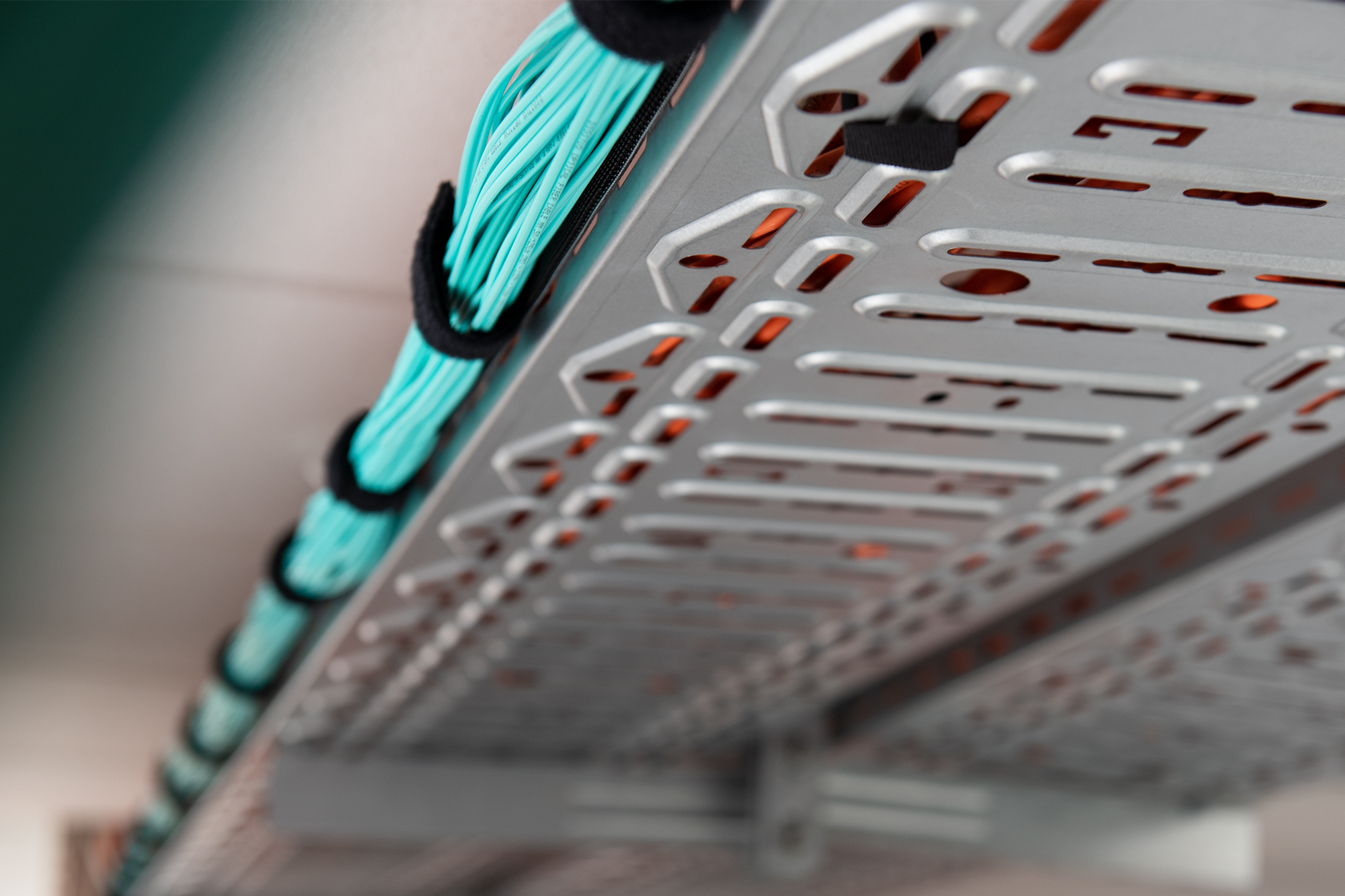 Hook and loop cable management system, mushroom fastener 2.5m, hook and loop tape 5m - Afbeelding 5